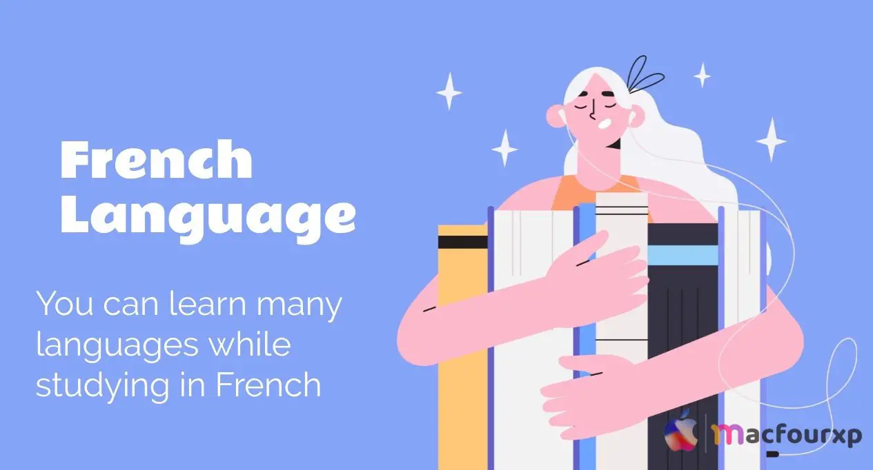 12+ Amazing Fact You Should Know Before Studying in France