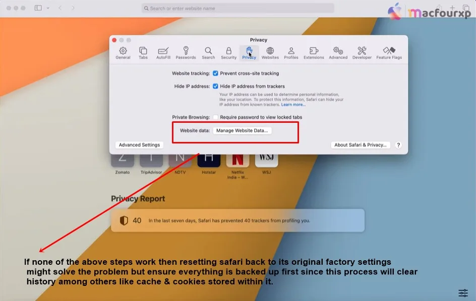 Application Error Client-Side Exception in Safari on Mac? Fix 2026